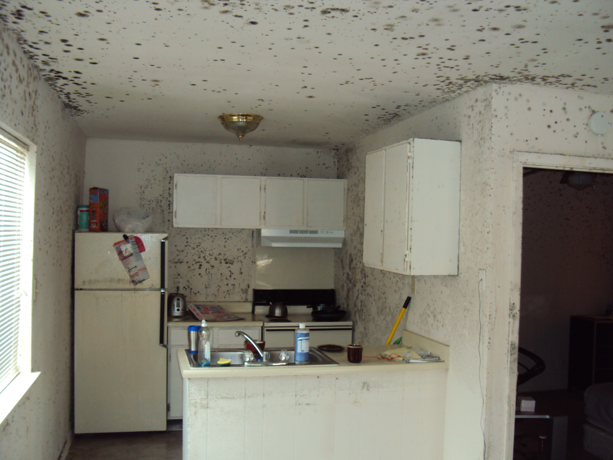 March 2023 – Mold Terms